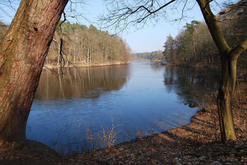 Quadruple Room,798881931:JPEG